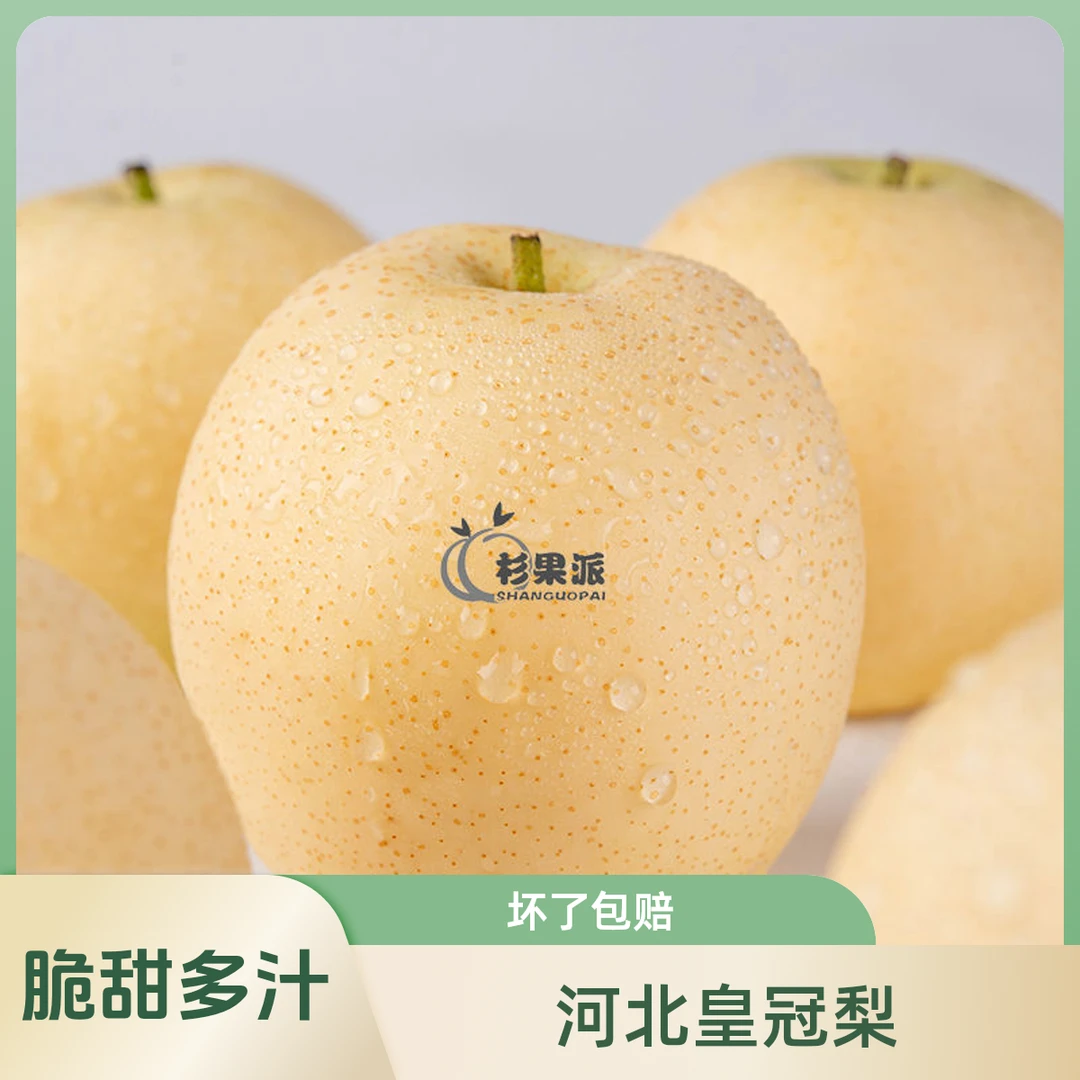 河北味美皇冠梨新鲜梨子皇冠梨水分足甜新整箱批发饱满清香汁水