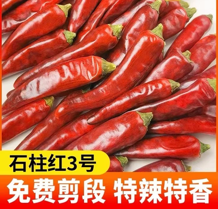 石柱红3号干辣椒正宗重庆火锅商用家用特香特辣调料