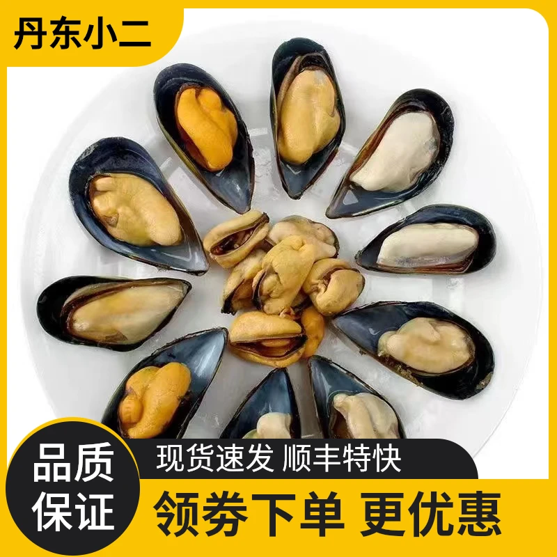 鲜活青口贝大号新鲜蓝口贝生鲜海鲜海虹淡菜贻贝约10-12个/斤贝类