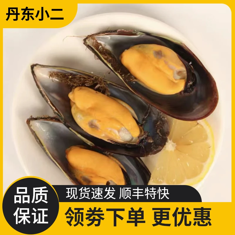 青口贝鲜活海虹大号贻贝淡菜新鲜海鲜贝类约10-12个/斤生鲜海葡萄