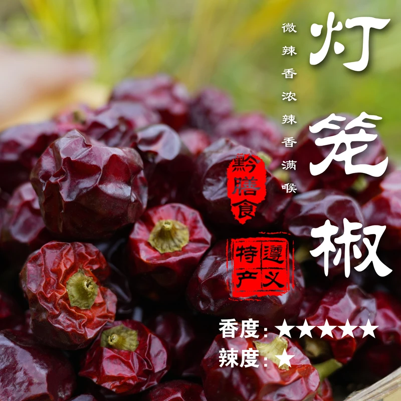 【2024新品】贵州遵义灯笼椒微辣超香干辣椒手工精选原产地直发