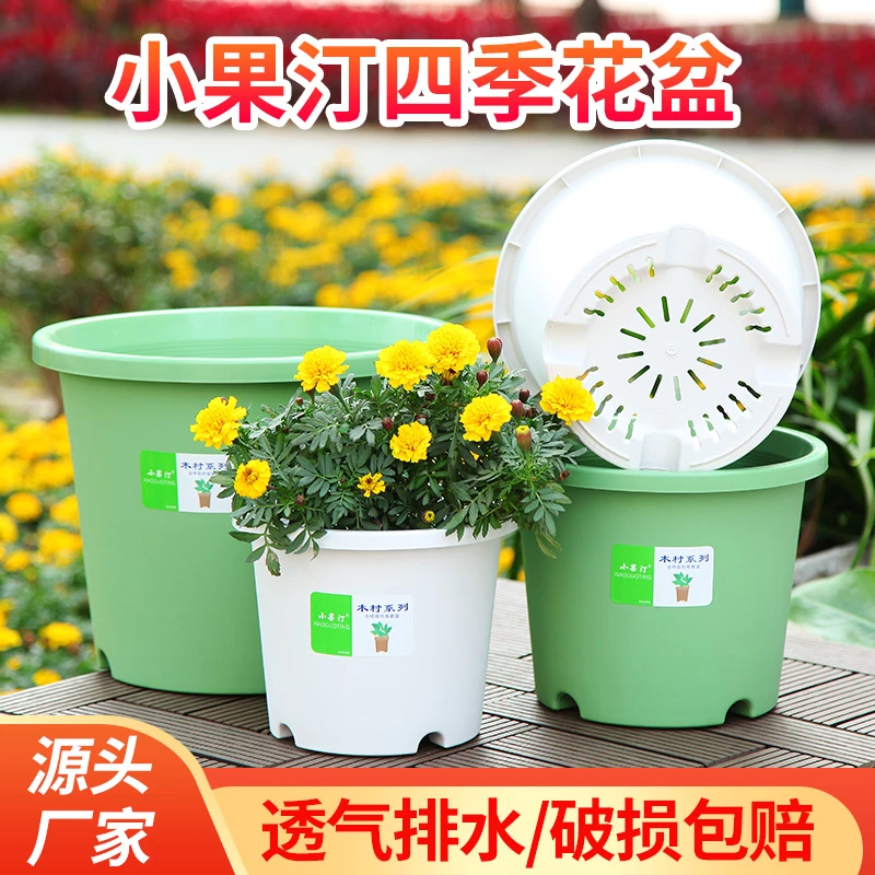 小果汀矮胖盆塑料花盆简约北欧加仑盆月季绣球三角梅四季盆树脂盆