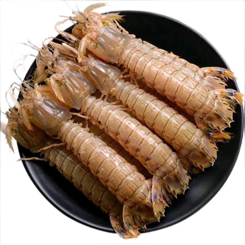 鲜活皮皮虾