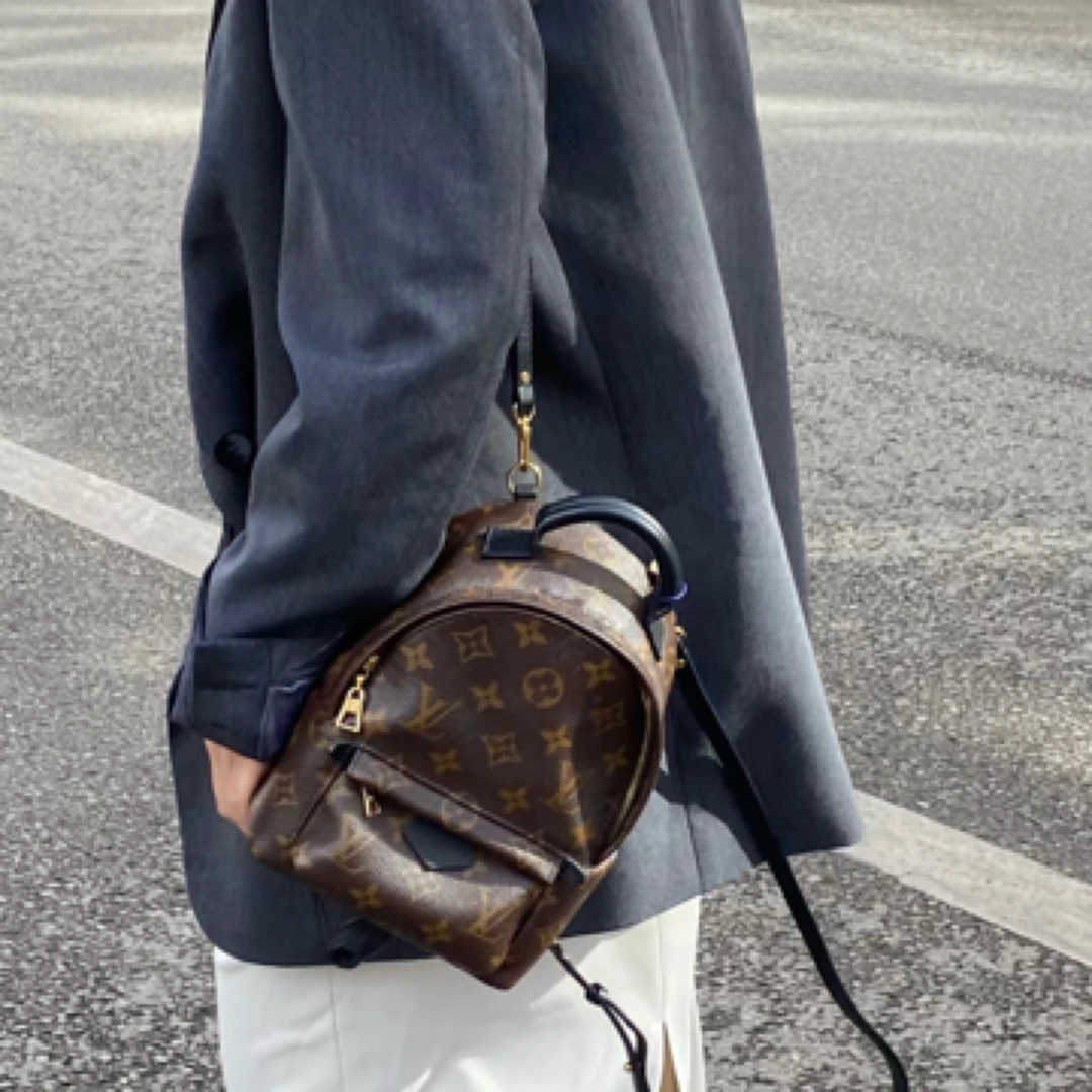 95新 LouisVuitton/路易威登 LV迷你双肩全原小书包/95新（不议价）