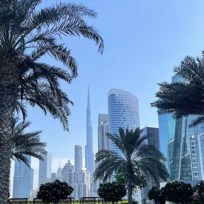 (HK)-AN2024-46款好吃的大苹果10.19