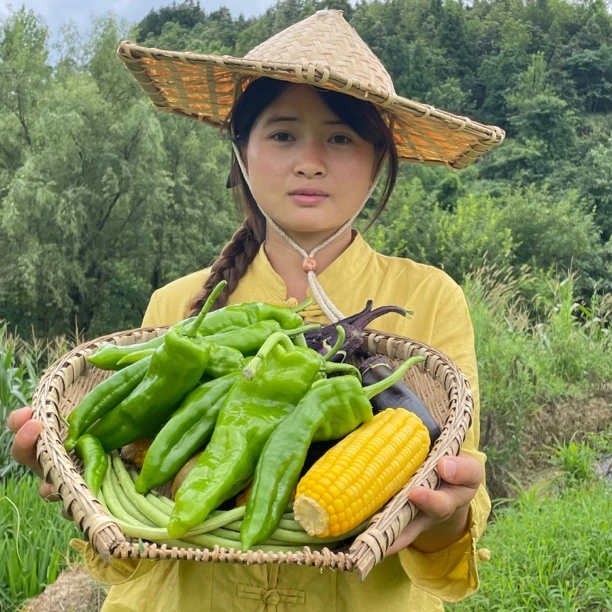 （顺丰包邮）螺丝椒贵州深山农家辣椒现摘现发5斤（微辣）