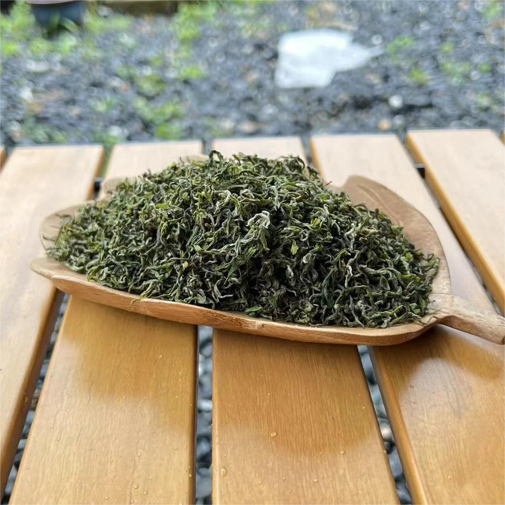 明前春茶手工卷白茶铁罐装安吉白茶2025年新茶
