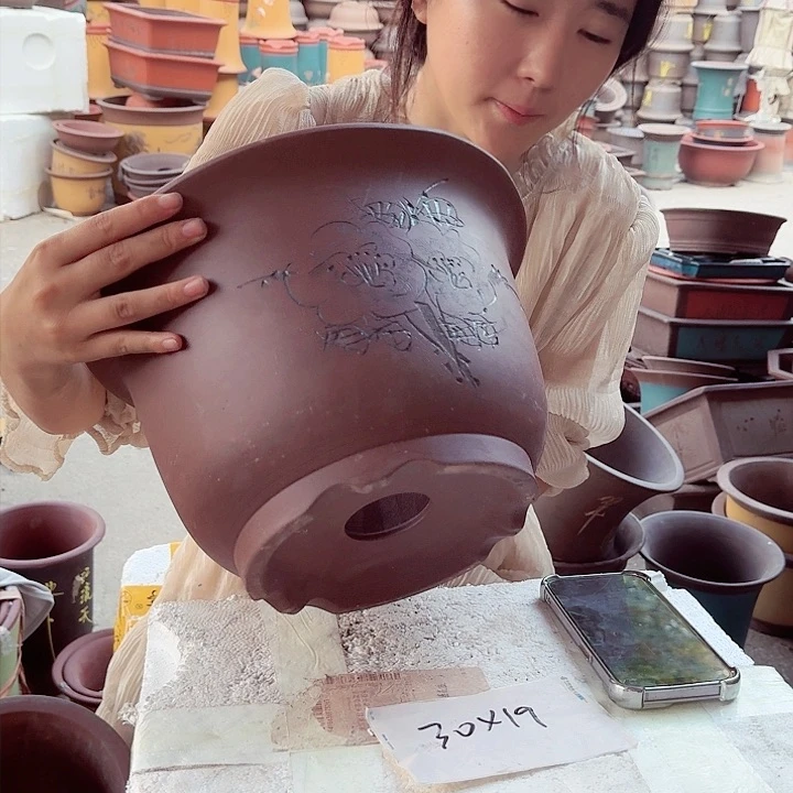 紫砂15cm-20cmt0012