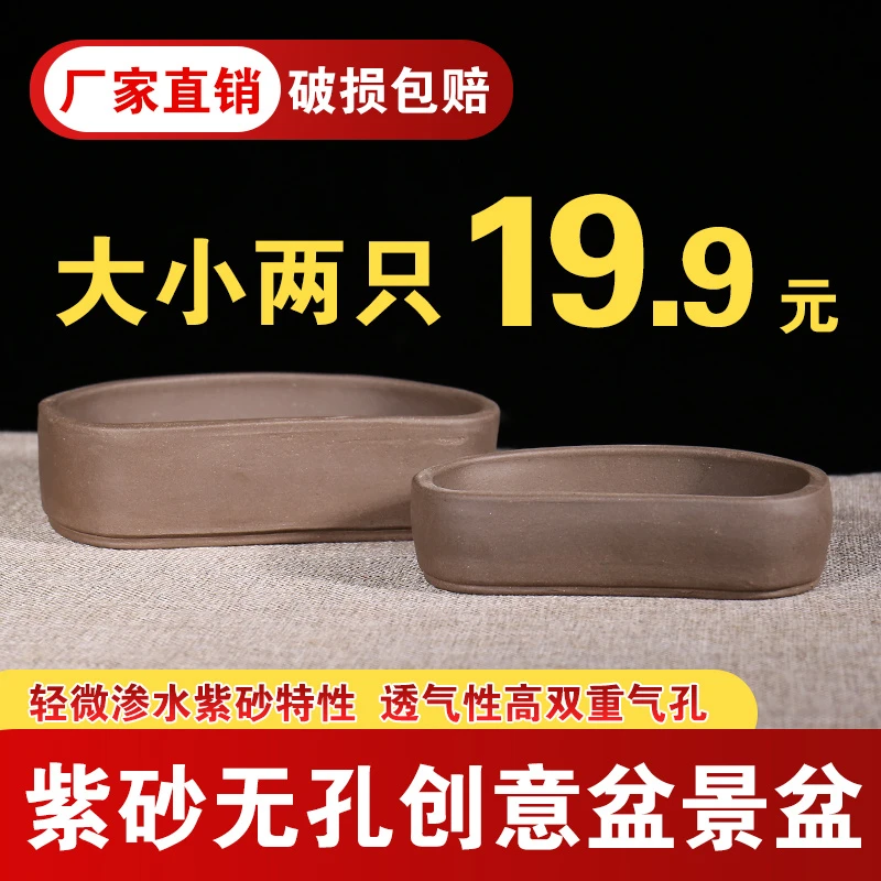 紫砂无孔创意花盆水培花盆特大号铜钱草花盆陶瓷水仙花盆