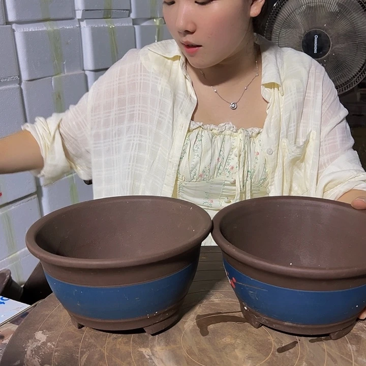 红陶20CM（含）-50CM（不含）富贵点菜20➕20
