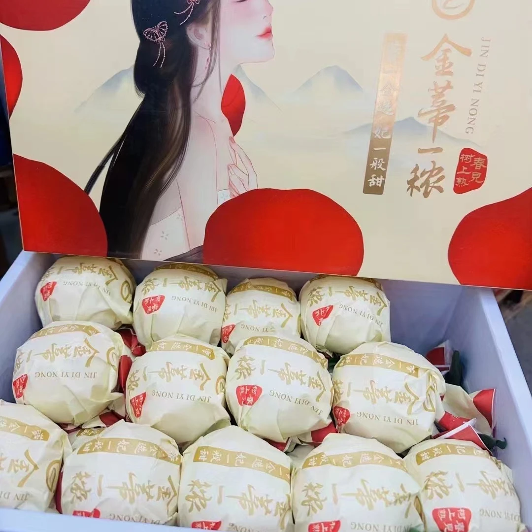 金蒂益农春见耙耙柑毛重8斤