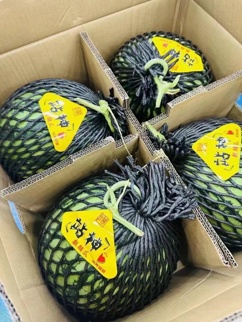 战神麒麟西瓜一个7.5-8斤