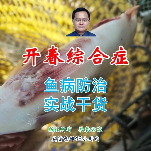 【干货】鱼病实战,开春综合症轻松搞定