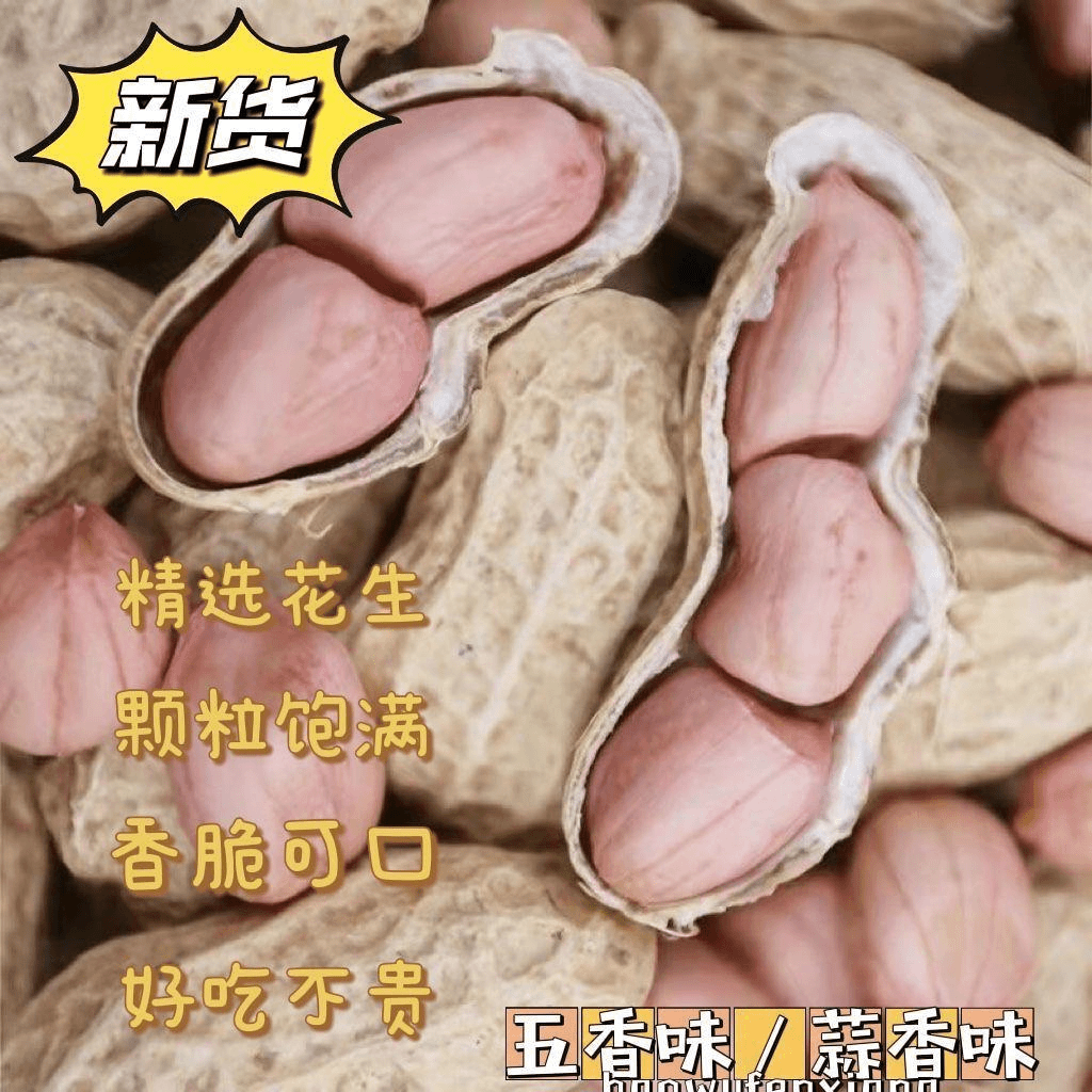 农家新货五香花生蒜香味花生带壳咸脆花生休闲家常小零食炒货特价