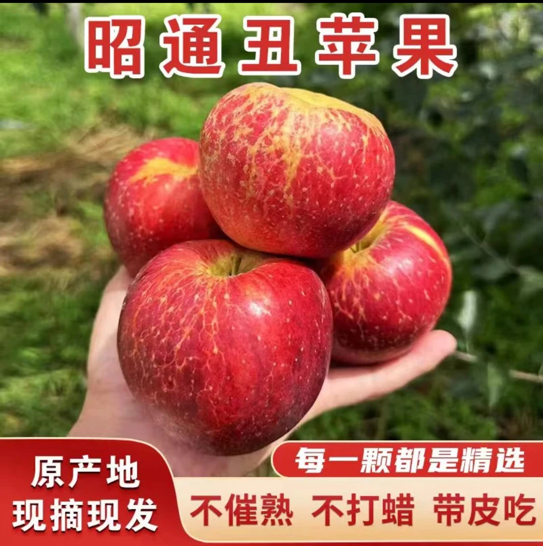2025正宗昭通高原苹果·脆甜多汁