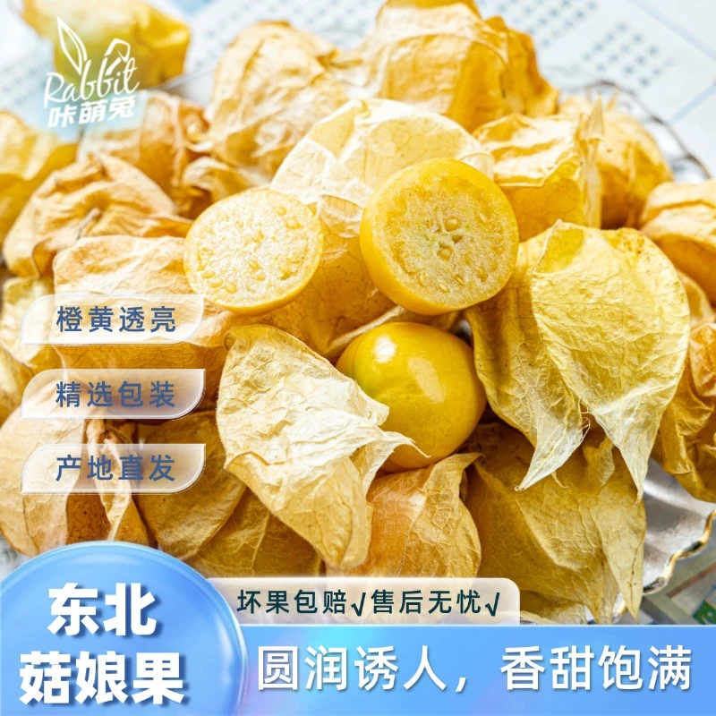 【咔萌兔】东北菇娘果2斤家庭装c