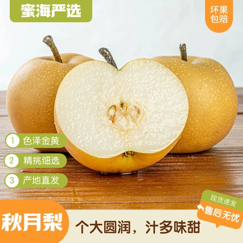 【蜜海严选】正宗秋月梨6枚礼盒装丰润饱满色泽金黄现摘现发