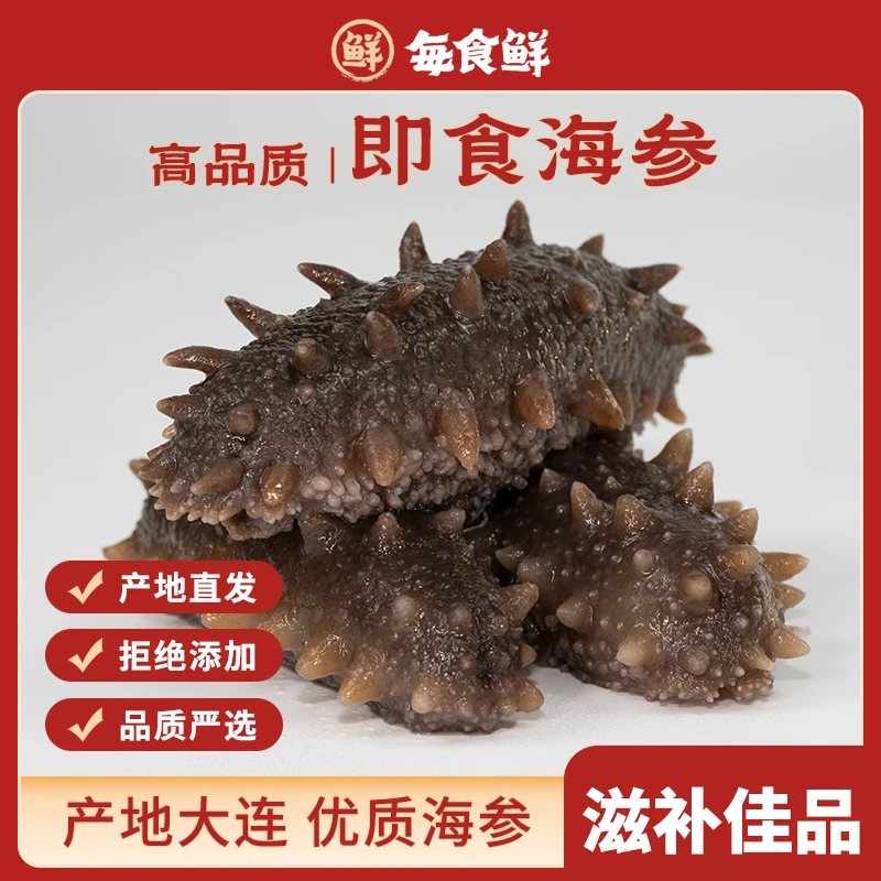 每食鲜即食海参尝鲜9-10头大连底播辽刺参鲜活冷链甄选品质鲜活