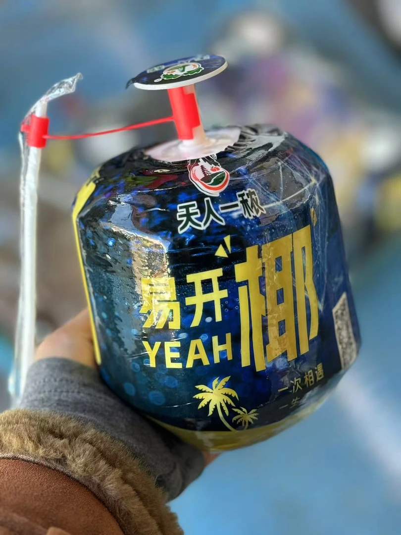 易开椰椰青（4个）单果约1.8一2斤
