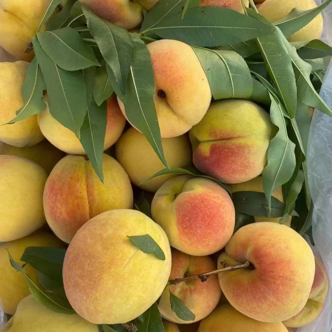 麻阳高山黄桃奈李当季蔬菜水果及其它农产品