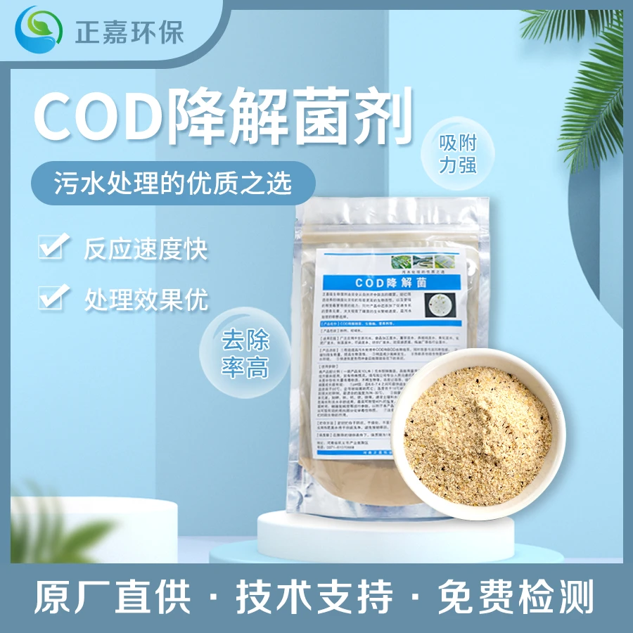 COD降解菌污水处理复合菌种反硝化细菌去除COD总氮氨氮