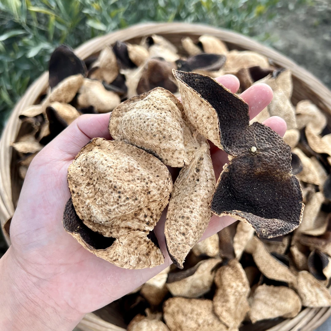 【口粮断皮-木香醇糯】2016年新会东甲【牛肶围】圈枝双片大红陈皮