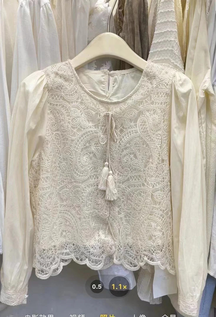 四季青意法女装法式复古雪纺衬衫女夏季设计感小众套头钩花