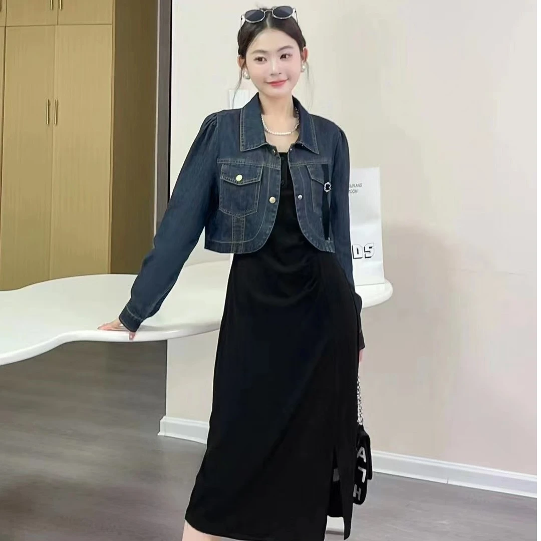 秋季新款时尚简约休闲宽松显瘦百搭复古连衣裙套装1006