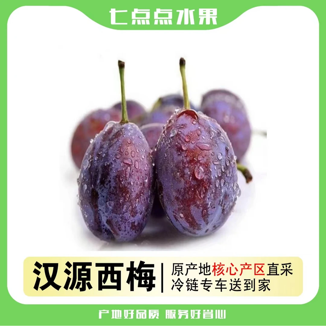 【汉源蓝蜜西梅】香甜原产地优选西梅爆甜多汁新鲜食用肉厚鲜甜采摘
