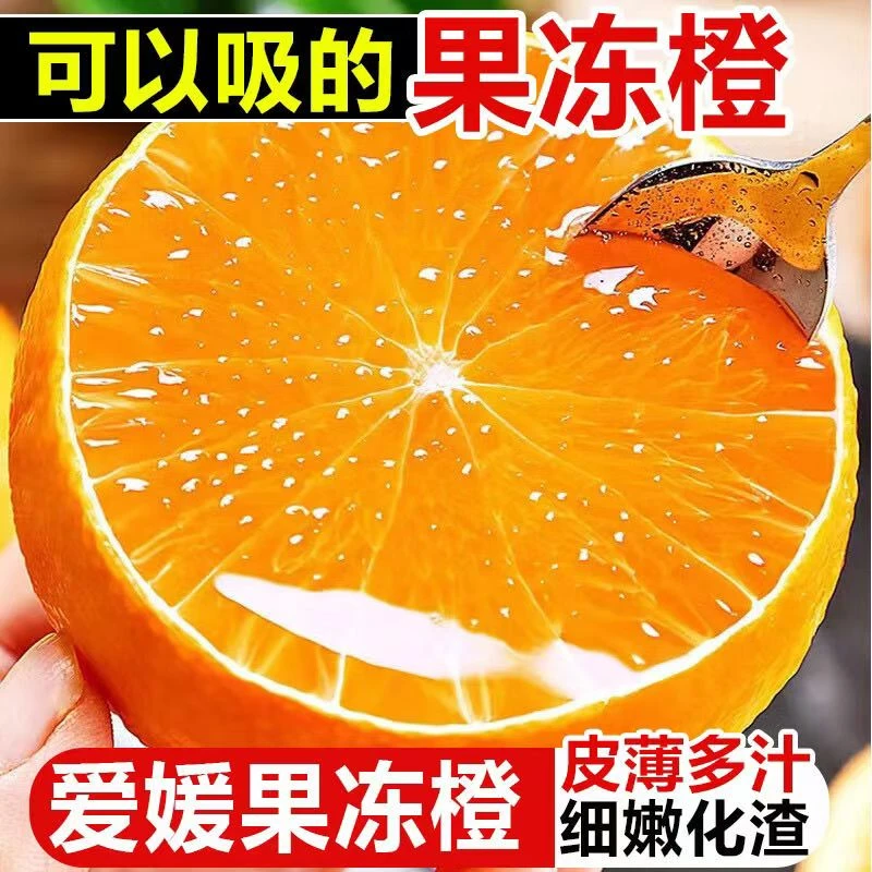 四川爱媛果冻橙薄皮手剥橙子脐橙孕妇应季新鲜包邮平替好物