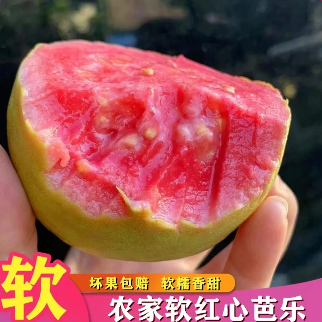 广西红心番石榴芭乐奶油冰淇淋口感软糯甜当季低糖孕妇水果3/5斤