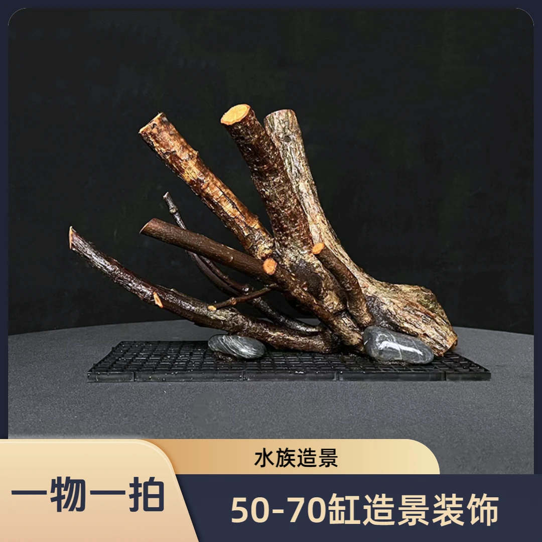 70-90缸造景（一物一拍）