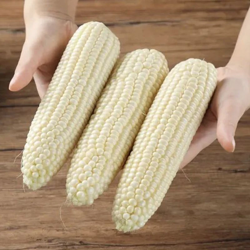 白糯甜玉米新鲜当季粘糯玉米代餐主食粗粮饱满度80%