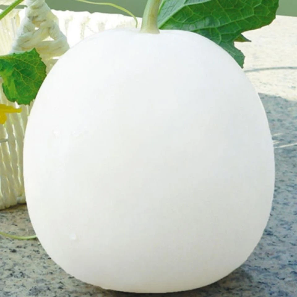 甜瓜种子冰糖雪梨超白甜香瓜种子早熟薄皮白色 不裂瓜高产大田种