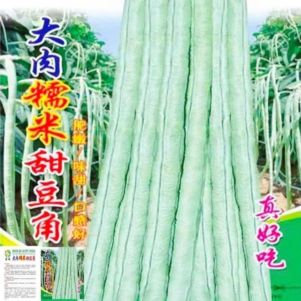 大肉甜豆角白豆角肉厚油白型夏季抗热播种高产特长农家蔬菜种子