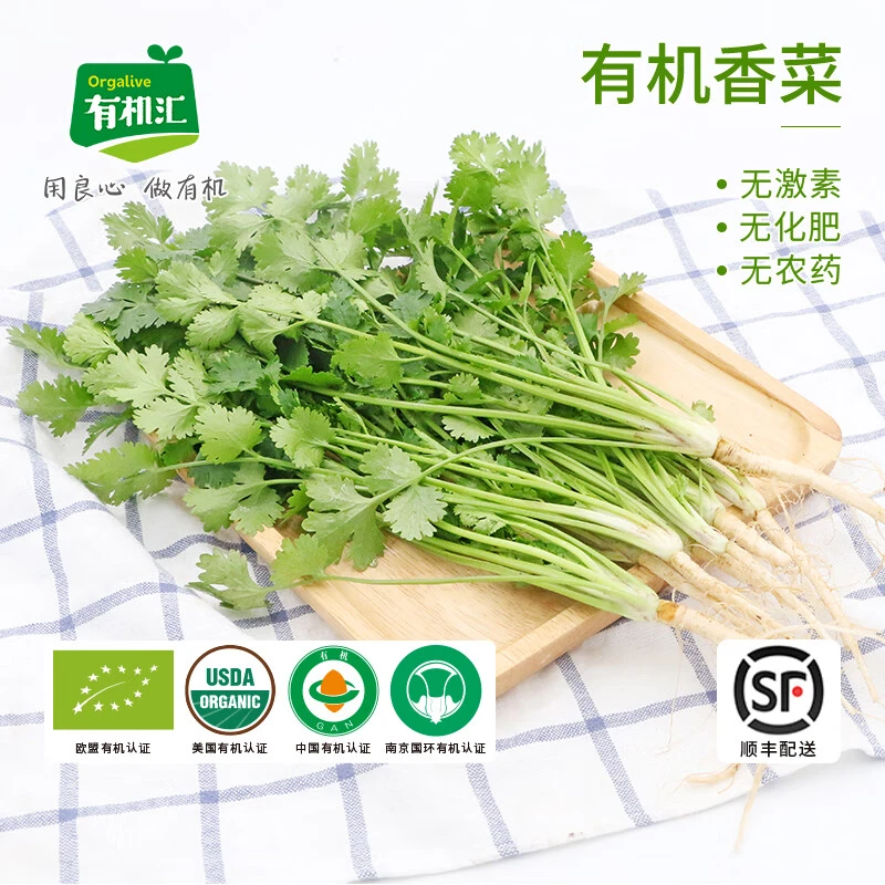 有机汇有机香菜芫荽香料食材新鲜采摘有机蔬菜调味沙拉蔬菜250g