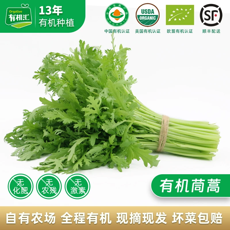 有机汇有机茼蒿500g 新鲜采摘绿色蔬菜火锅配菜 顺丰