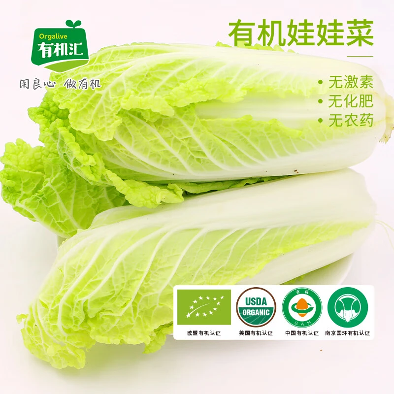 有机汇有机娃娃菜黄心娃娃菜5斤装 新鲜有机蔬菜火锅菜辅食 顺丰