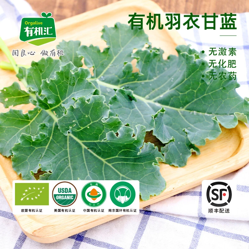 有机羽衣甘蓝有机蔬菜健身轻食沙拉蔬菜欧盟美国中国有机认证250g