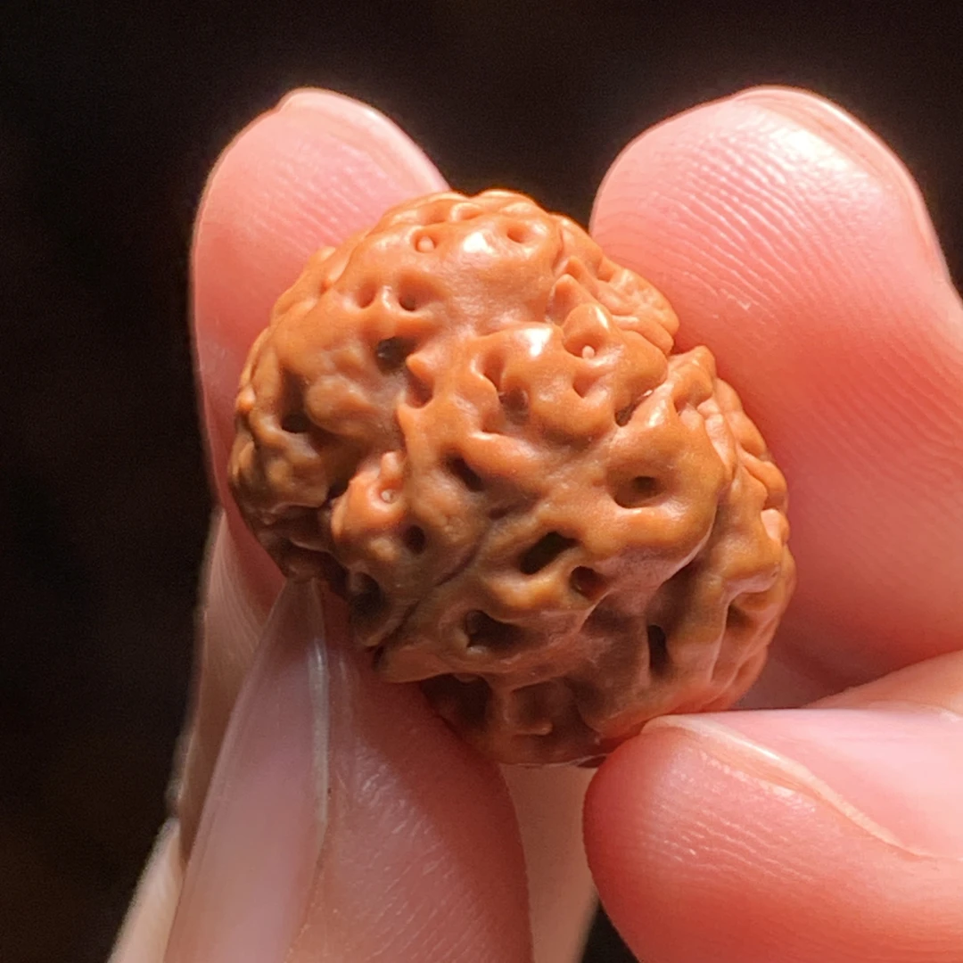 ［开播新品］矮桩飞碟纽扣毕业金刚菩提