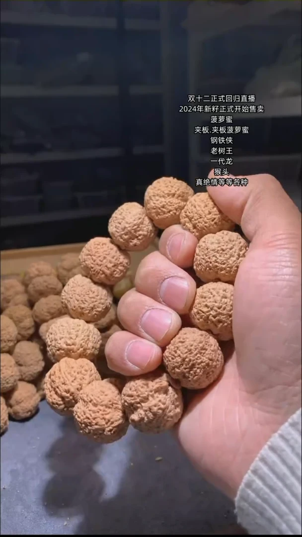 【闪购商品】金刚菩提吊坠697