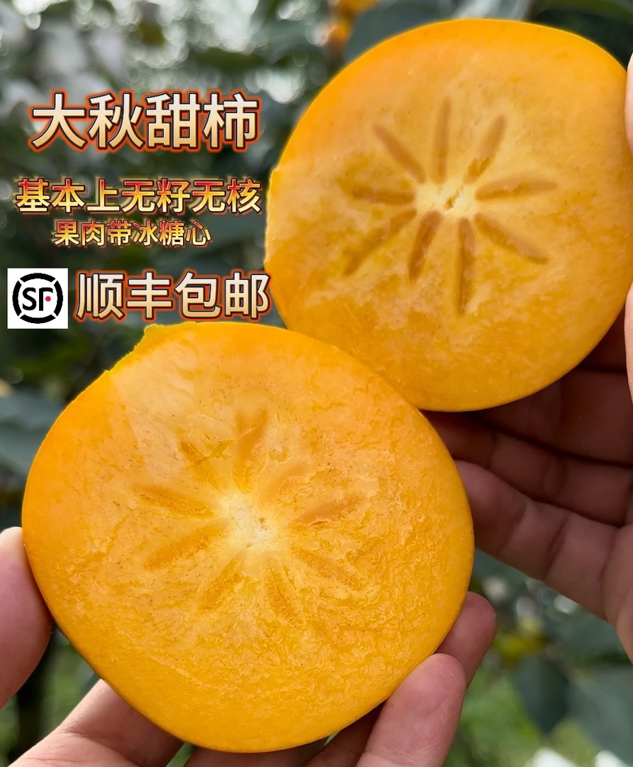 桂林无核（大秋）太秋甜柿子皮薄肉厚新鲜采摘产地果园美味顺丰直发