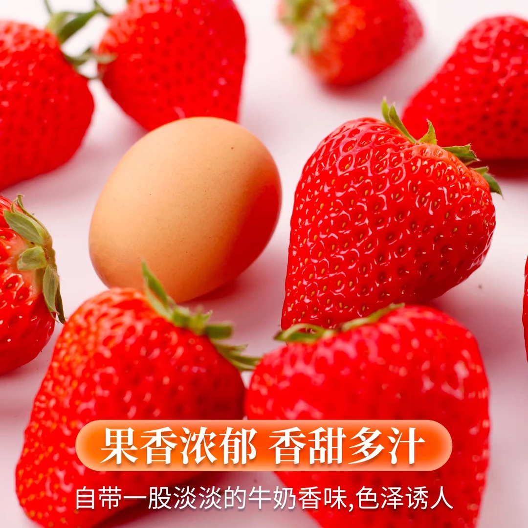 【特大果，非畸形果】单颗35g+，头茬丹东东港99草莓1.8斤装99草莓辽宁省