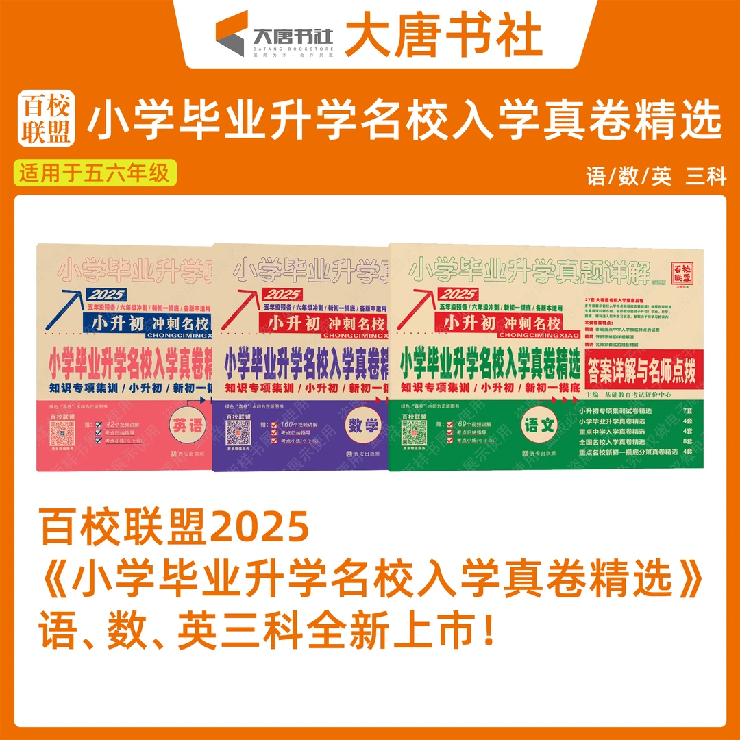 2025小学毕业升学真题详解语文数学英语普通版小升初名校入学真卷