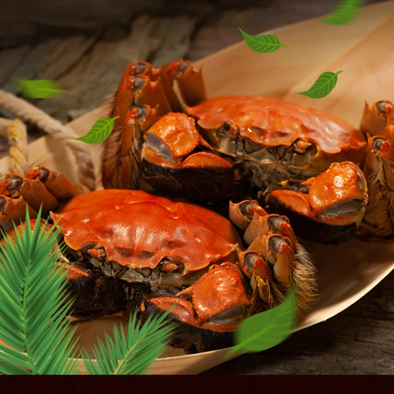 9【活蟹】江苏螃蟹鲜活河蟹公2.6-2.3两+母2.0-1.7两买8送2只