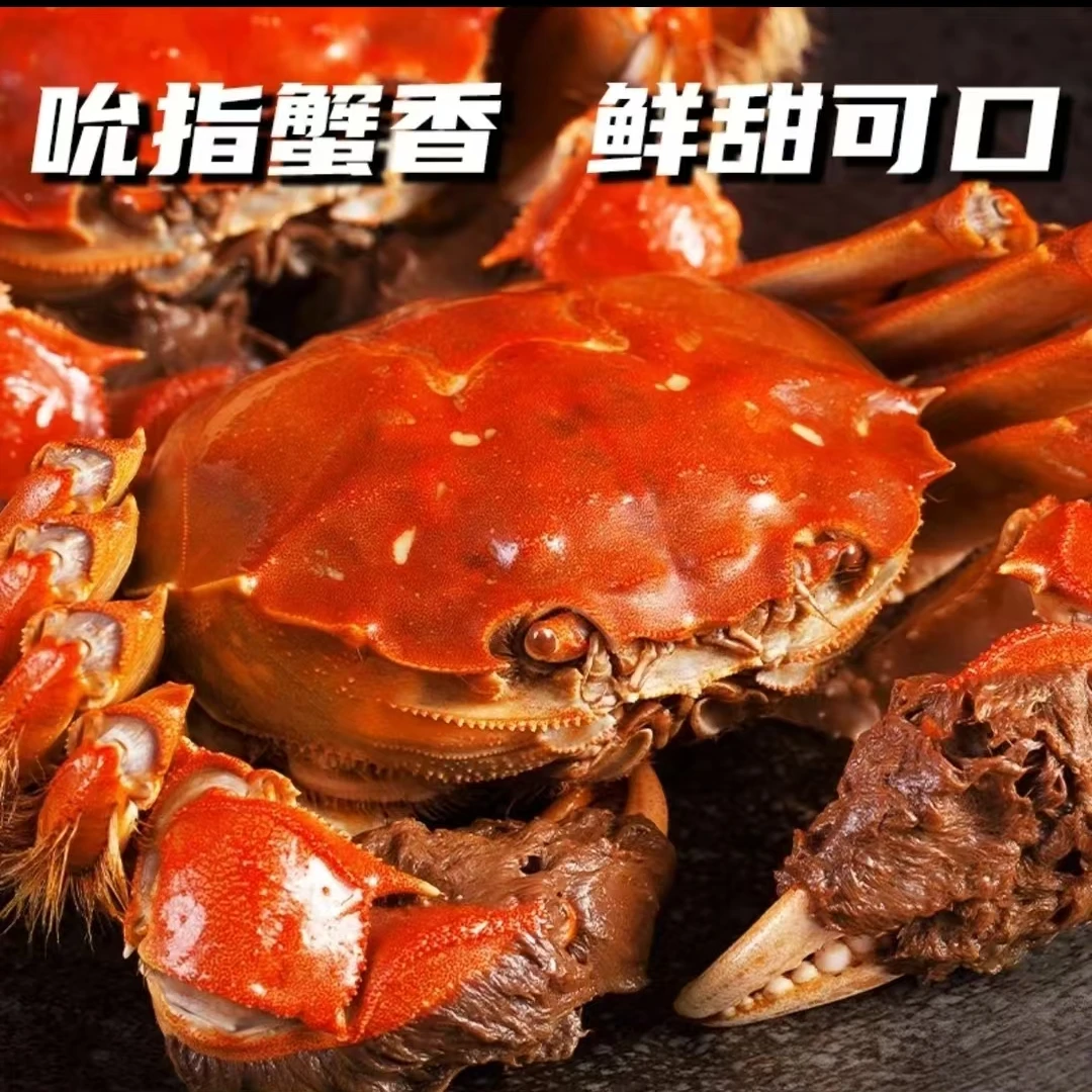 敏【活蟹】公2.5-2.2两母1.7-2.0两洪泽湖河蟹螃蟹鲜活买【8只送2只】
