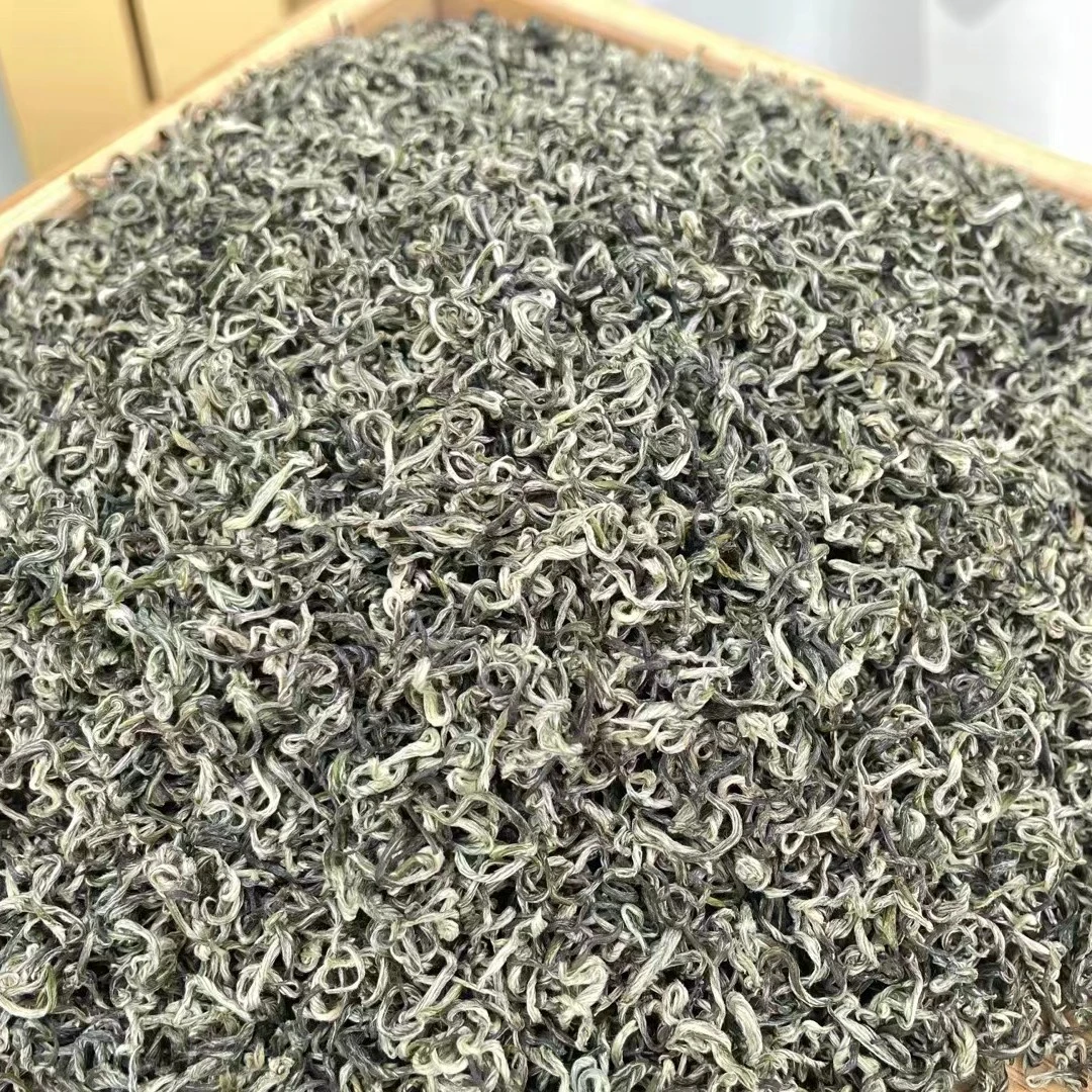 头春碧螺春茶2025新茶绿茶明前绿茶浓香型耐泡散装