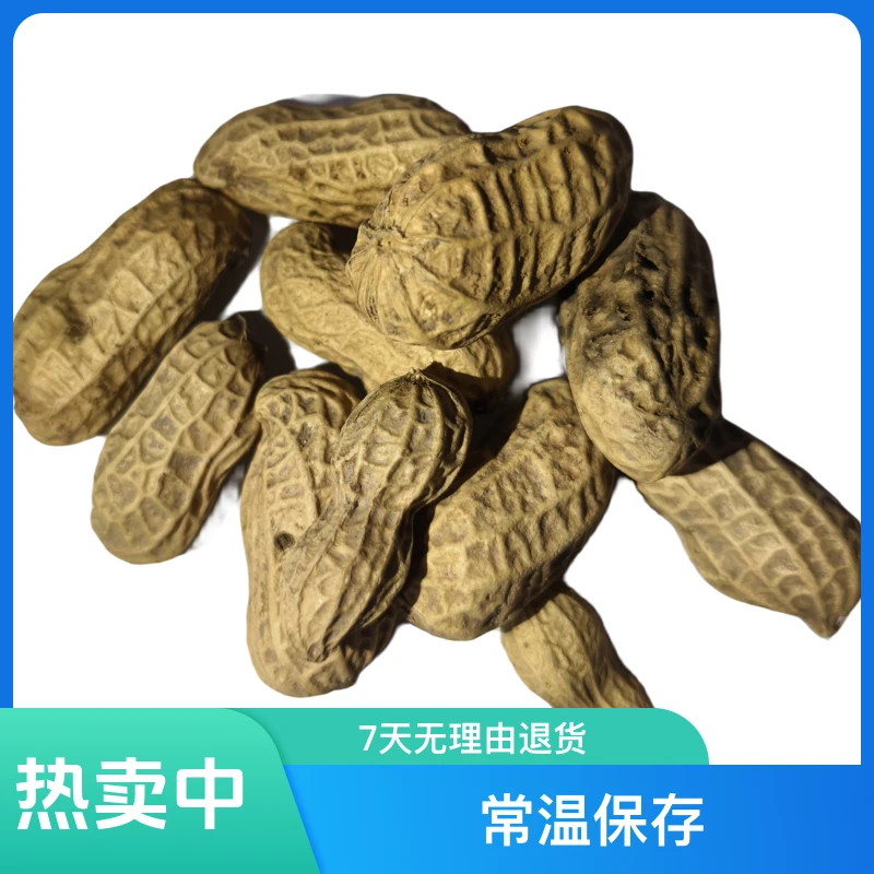 水煮熟花生很好吃惠安花生新鲜黄桃罐头
