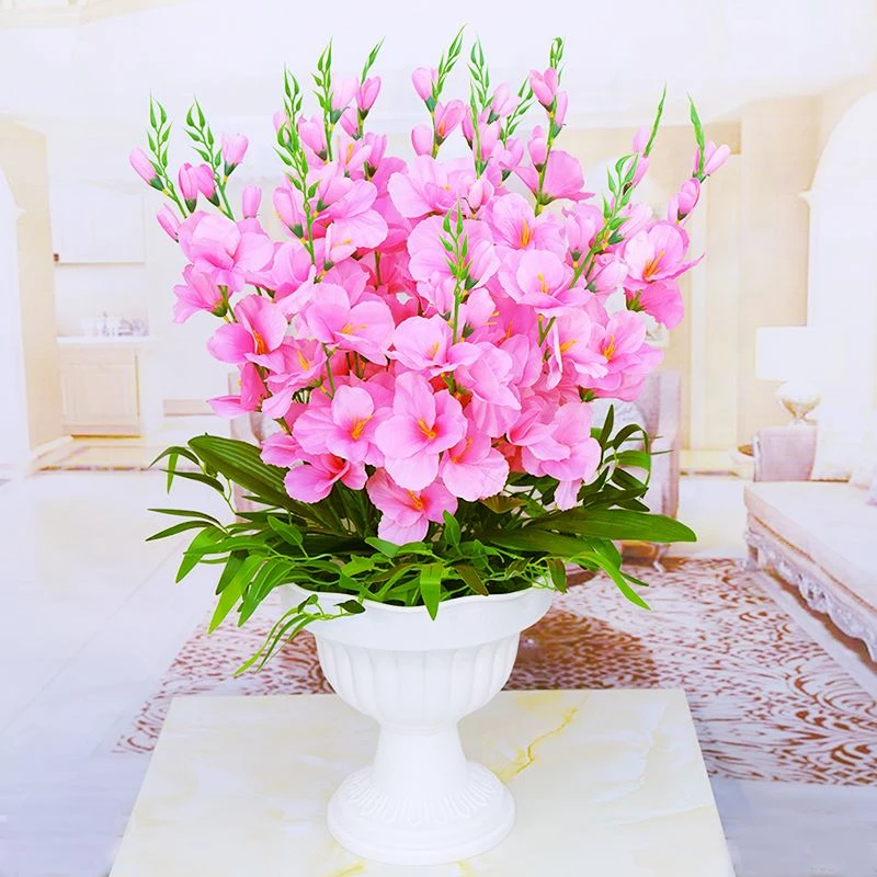 新品兰花球根名贵四季浓香花卉大全养不死办公室内外桌面盆栽绿植