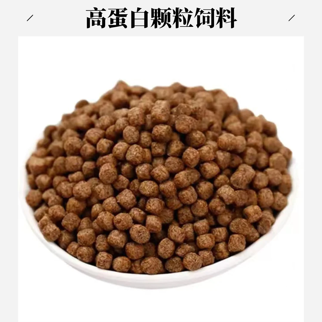 锦鲤增色增体高蛋白大小颗粒育成色杨不浑水观赏鱼粮